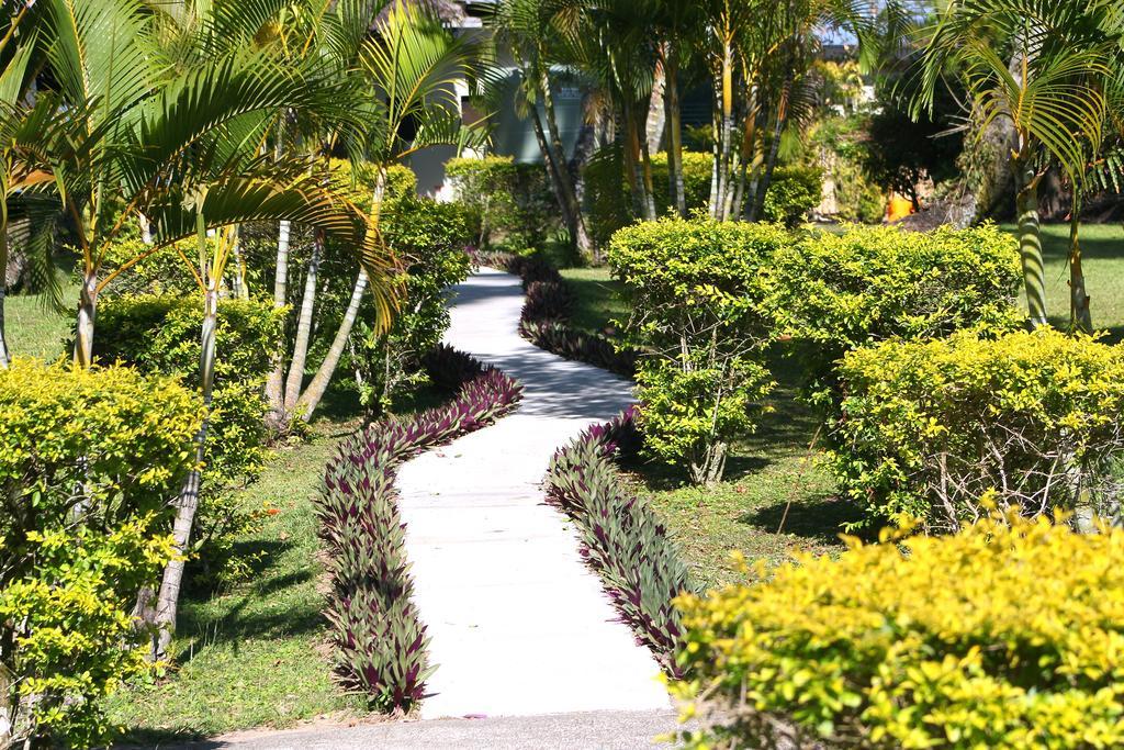 Mango Bay Resort Namatakula Eksteriør billede